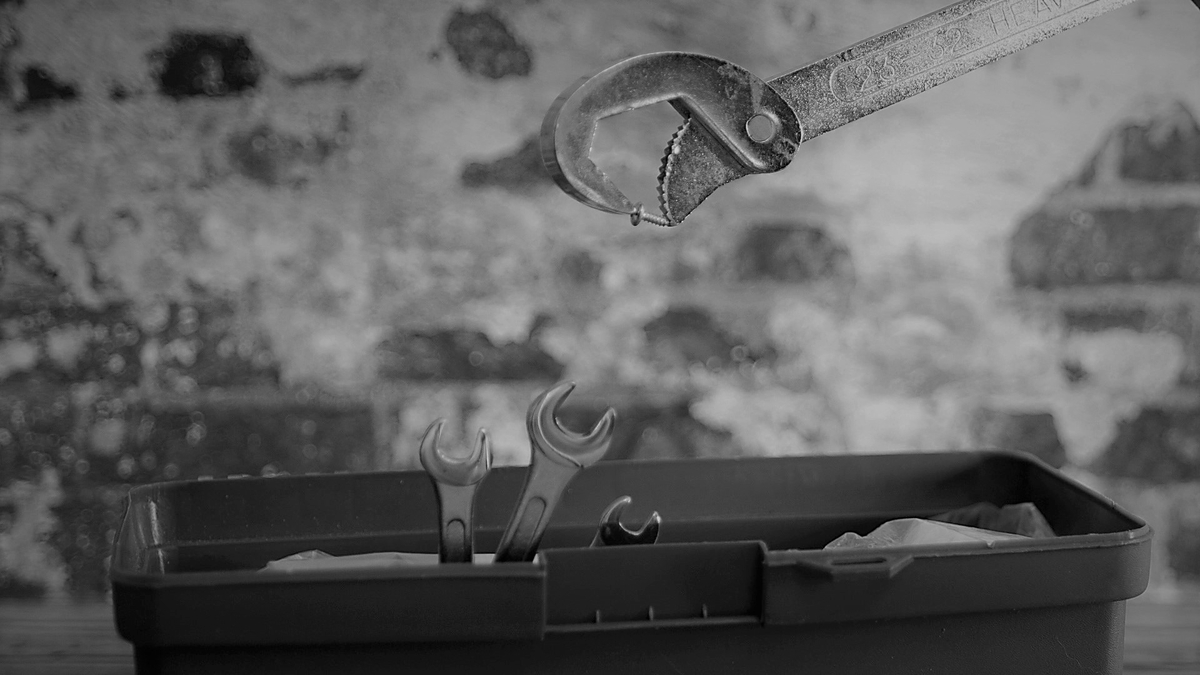 12_In a quiet corner a mother feeds her young